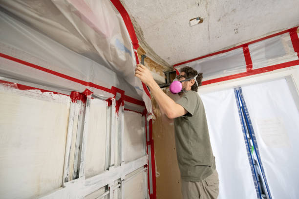 Trusted Yardley, PA Mold Inspection, Removal & Remediation Experts